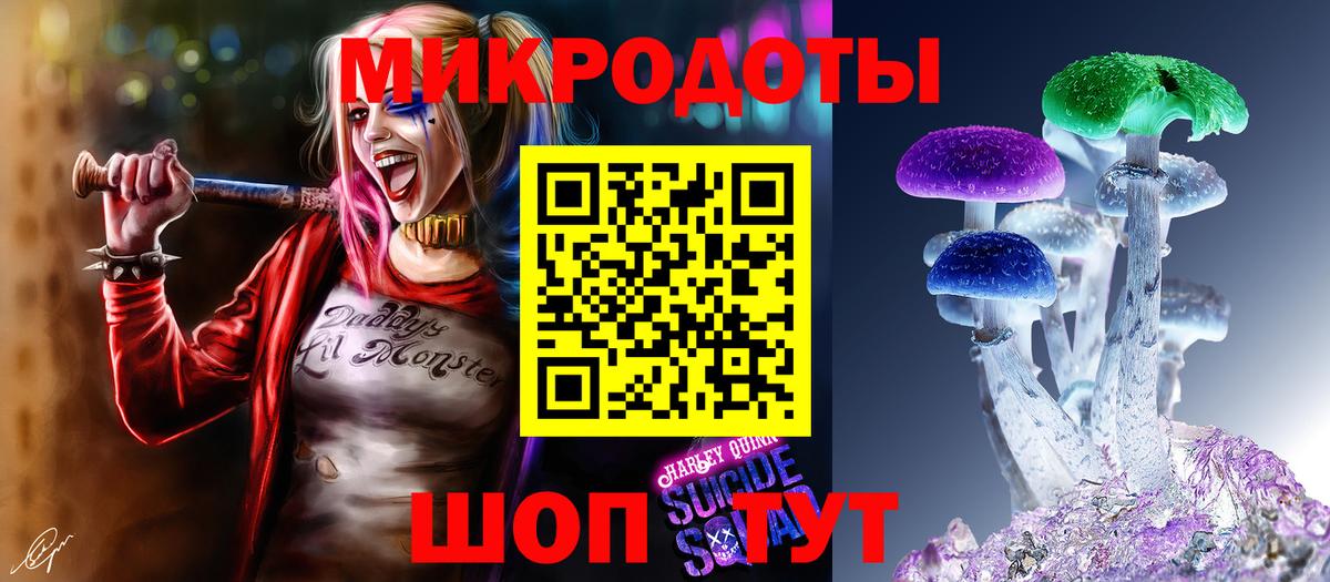 Кандалакша  Псилоцибиновые грибы Magic Shrooms  Вход с VPN 