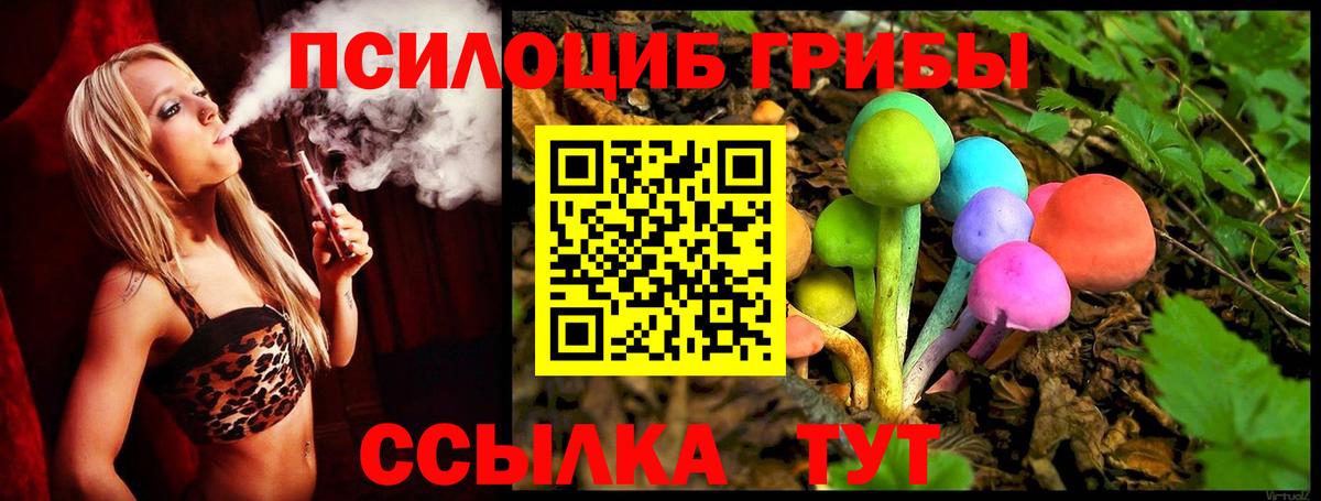Псилоцибиновые грибы прущие грибы Кандалакша